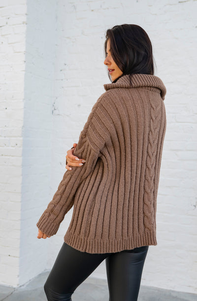 Zip Pullover (Braun)