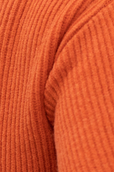 Pullover mit Rollkragen (Orange)